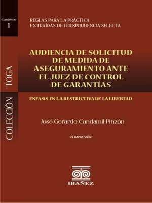 cover image of Audiencia de solicitud de medida de aseguramiento ante el juez de control de garantías